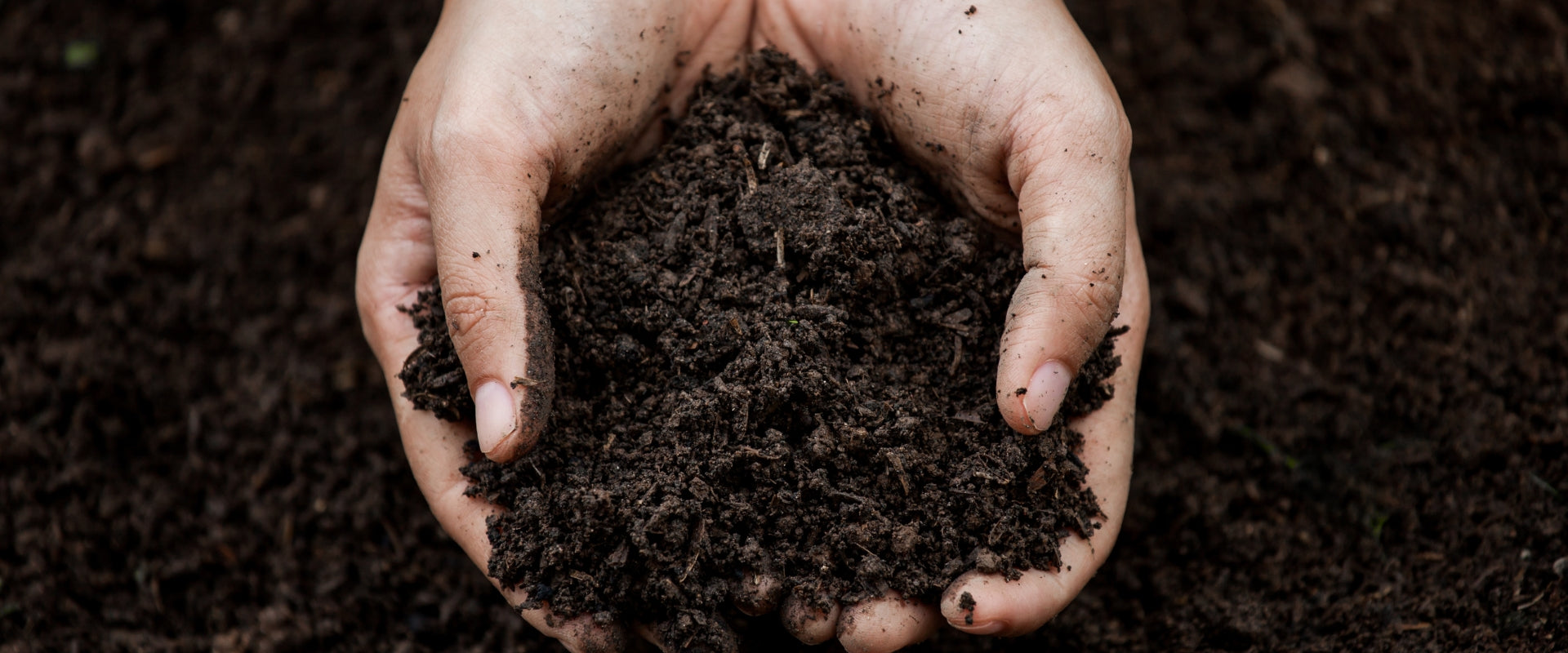 True Grace Drives Regeneration in New Collaboration with Soil & Climate Initiative