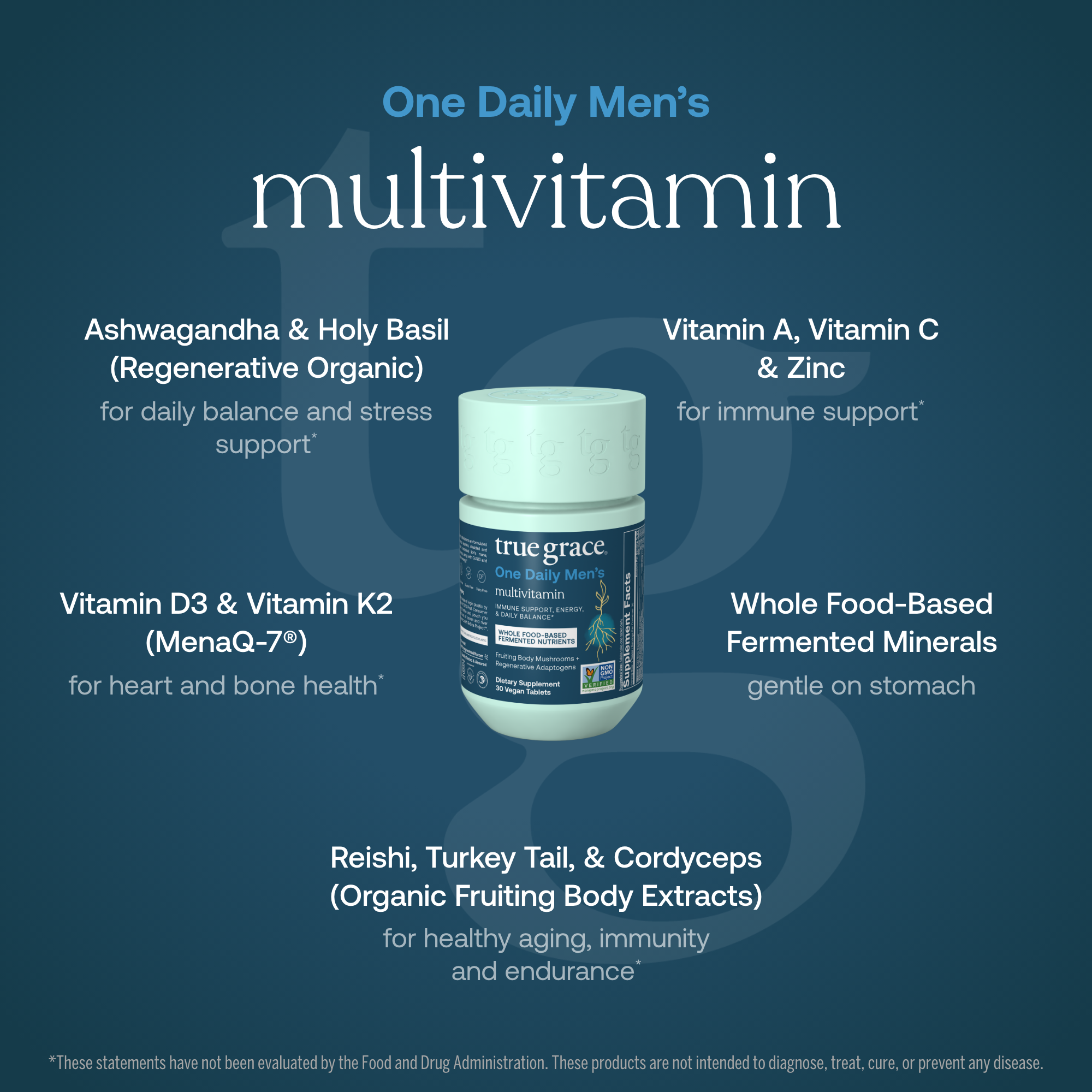 One Daily Men's Multivitamin