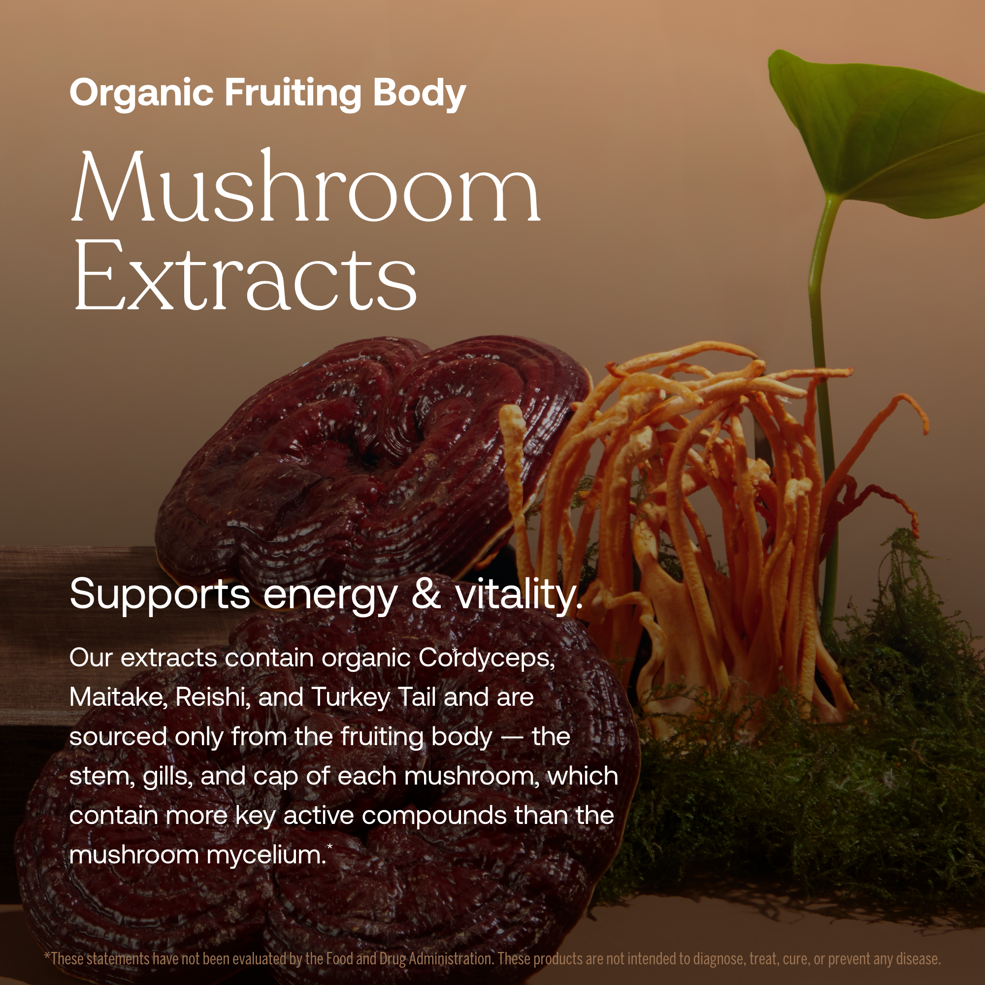 One Daily Men's Multivitamin