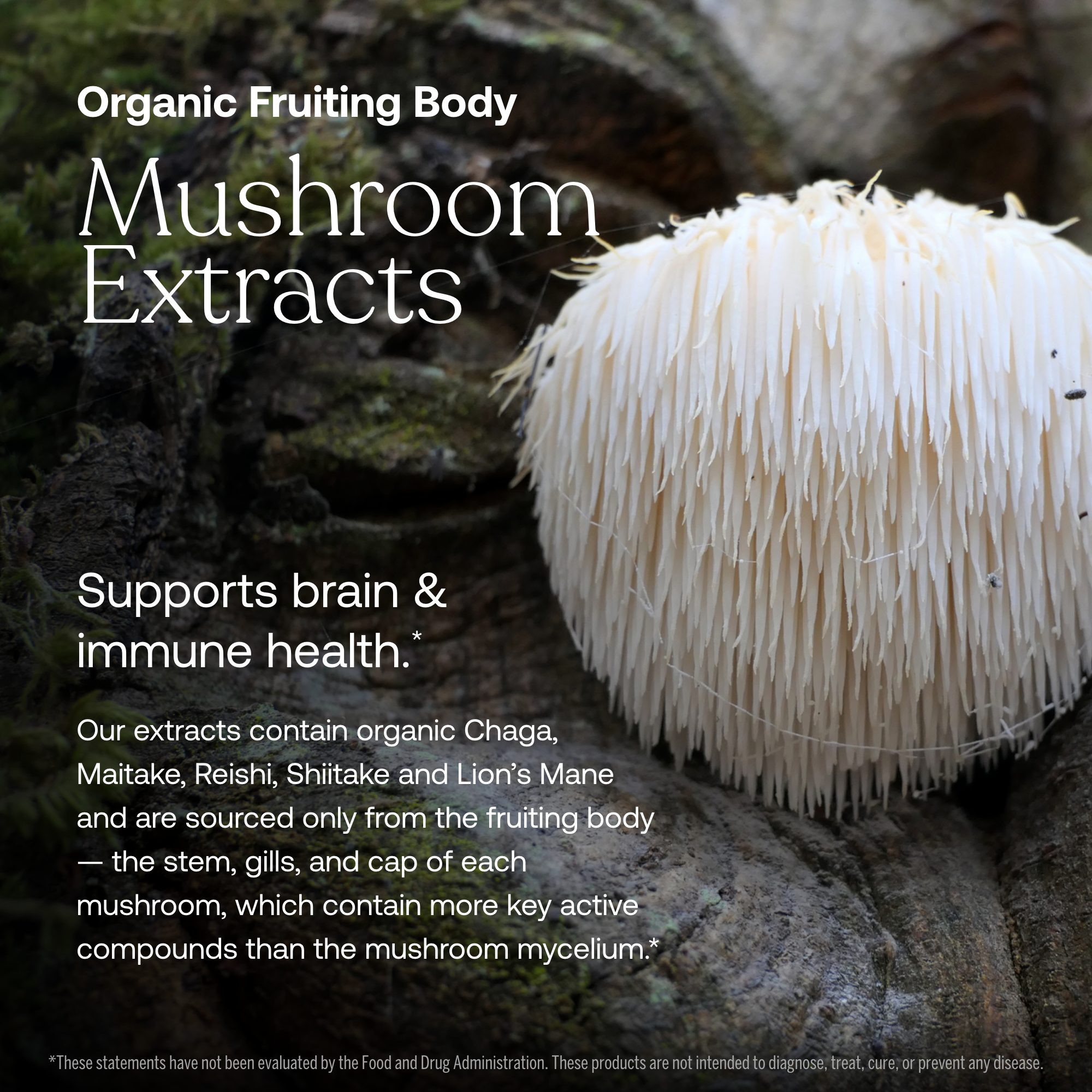 One Daily Men's 40+ Multivitamin