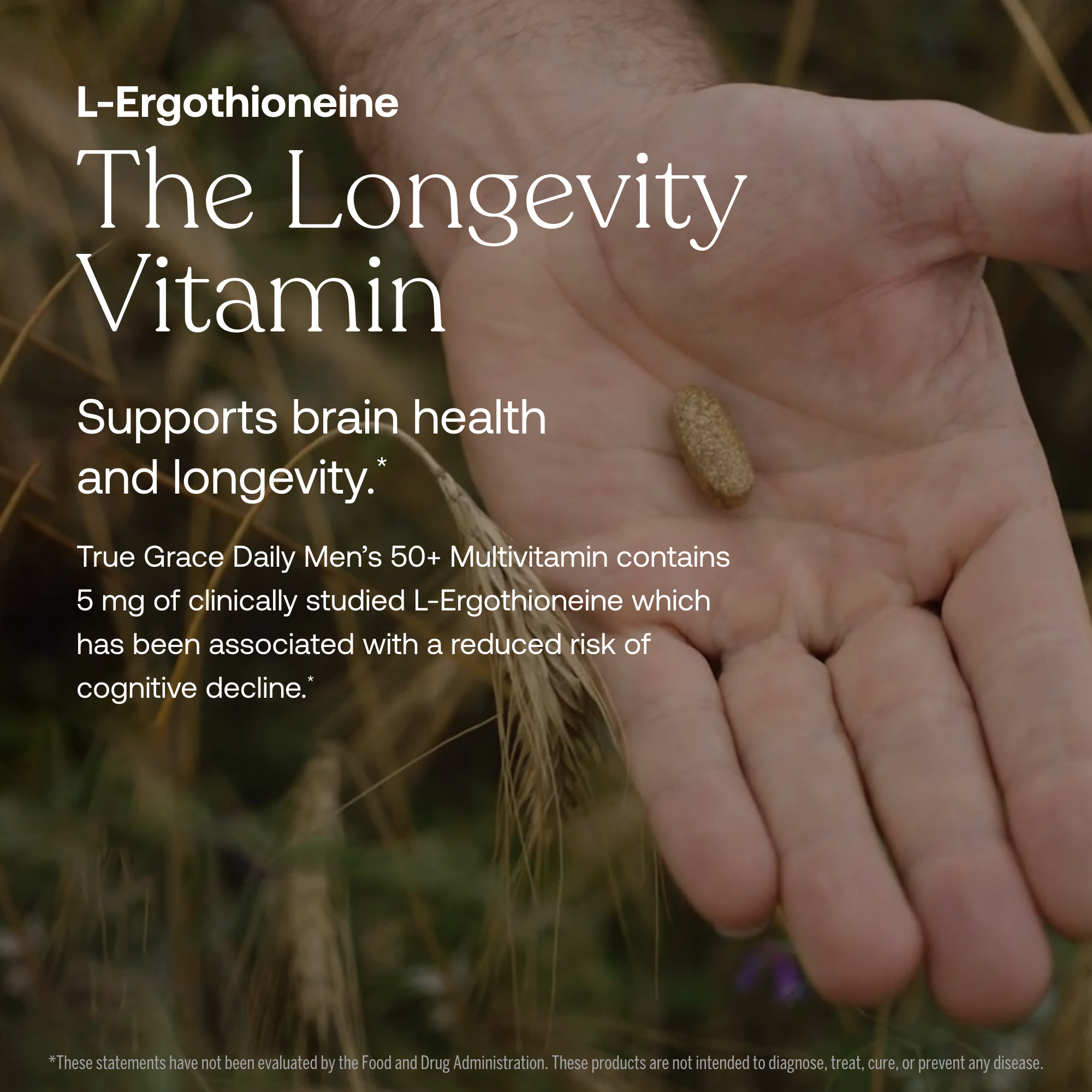 Daily Men's 50+ Multivitamin