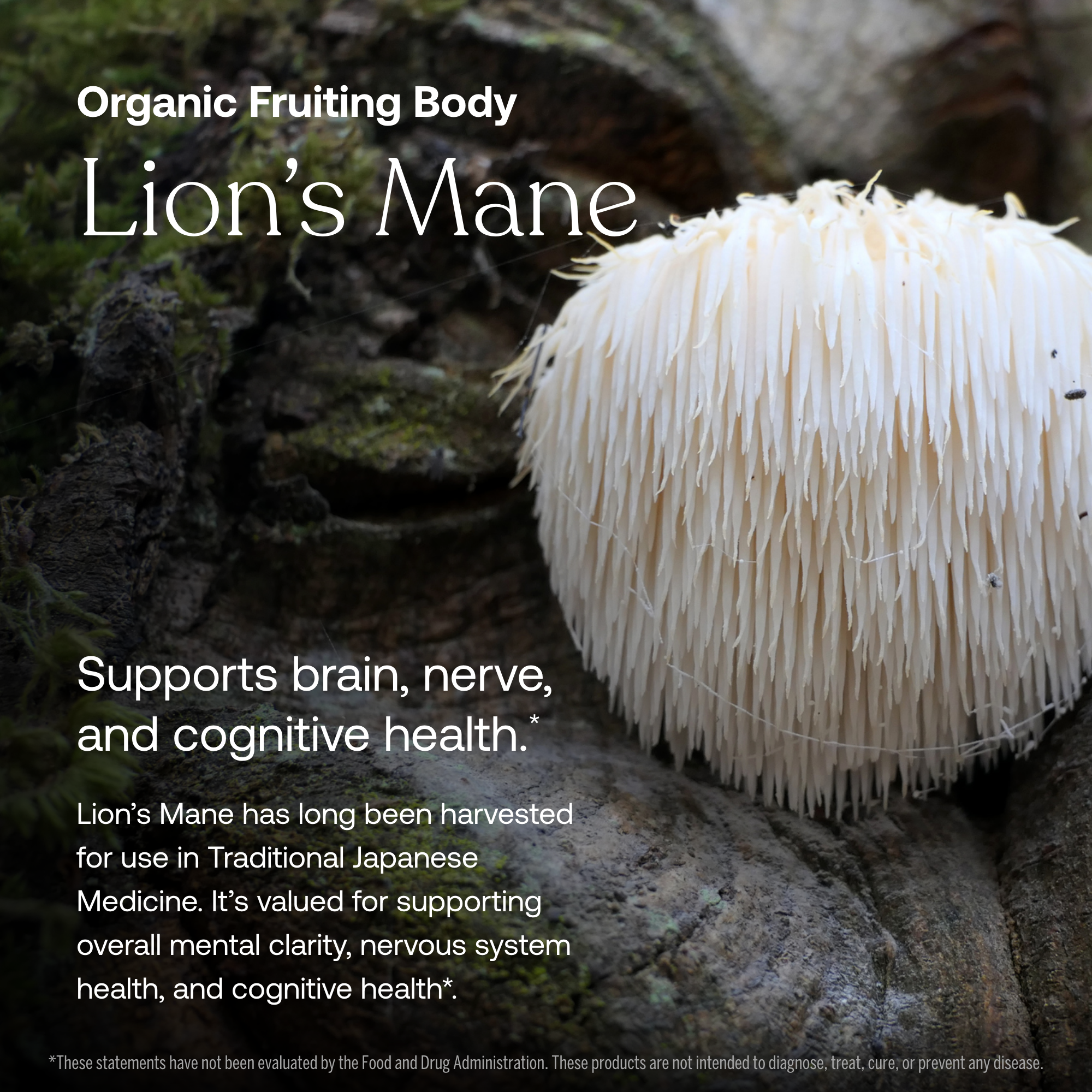 Daily Men's 50+ Multivitamin