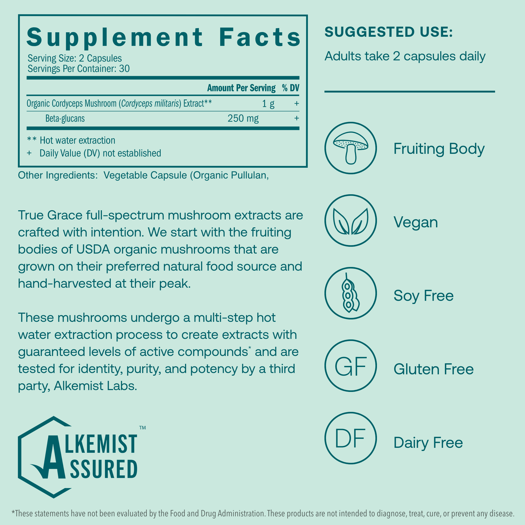 True Grave full-spectrum mushroom extracts are crafted with intention. We start with the fruiting bodies of the USDA organic mushrooms that are grown on their preferred natural food source and hand-harvested at their peak.
These mushrooms undergo a multi-step hot water extraction process to create extracts with guaranteed levels of active compounds* and are tested for identity, purity, and potency by a third party, Alkemist Labs.