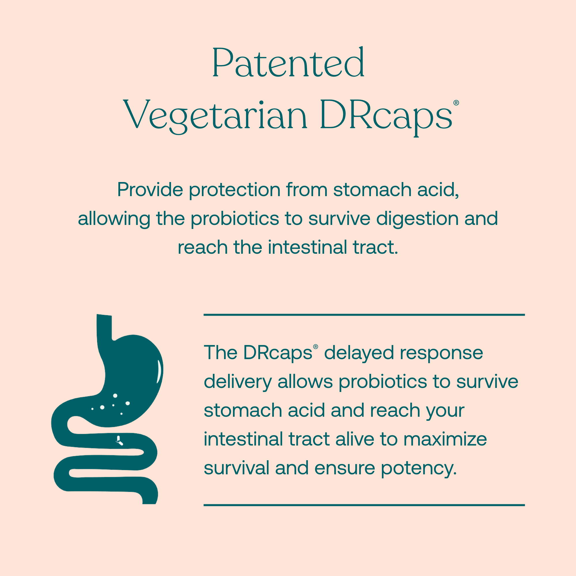 Provide protection from stomach acid, allowing the probiotics to survive digestion and reach the intestinal tract.
The DRcaps delayed response delivery allows probiotics to survive stomach acid and reach your intestinal tract alive to maximize survival and ensure potency.