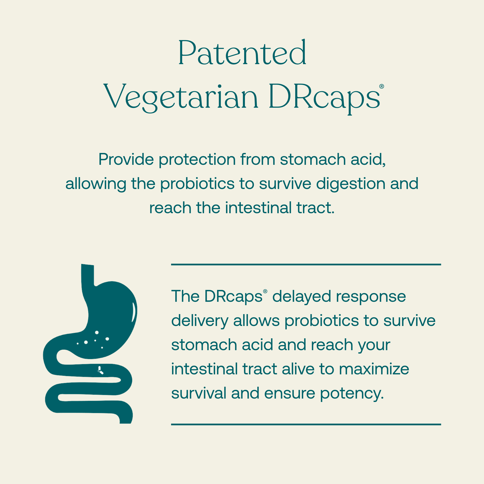 Provide protection from stomach acid, allowing the probiotics to survive digestion and reach the intestinal tract.
The DRcaps delayed response delivery allows probiotics to survive stomach acid and reach your intestinal tract alive to maximize survival and ensure potency.