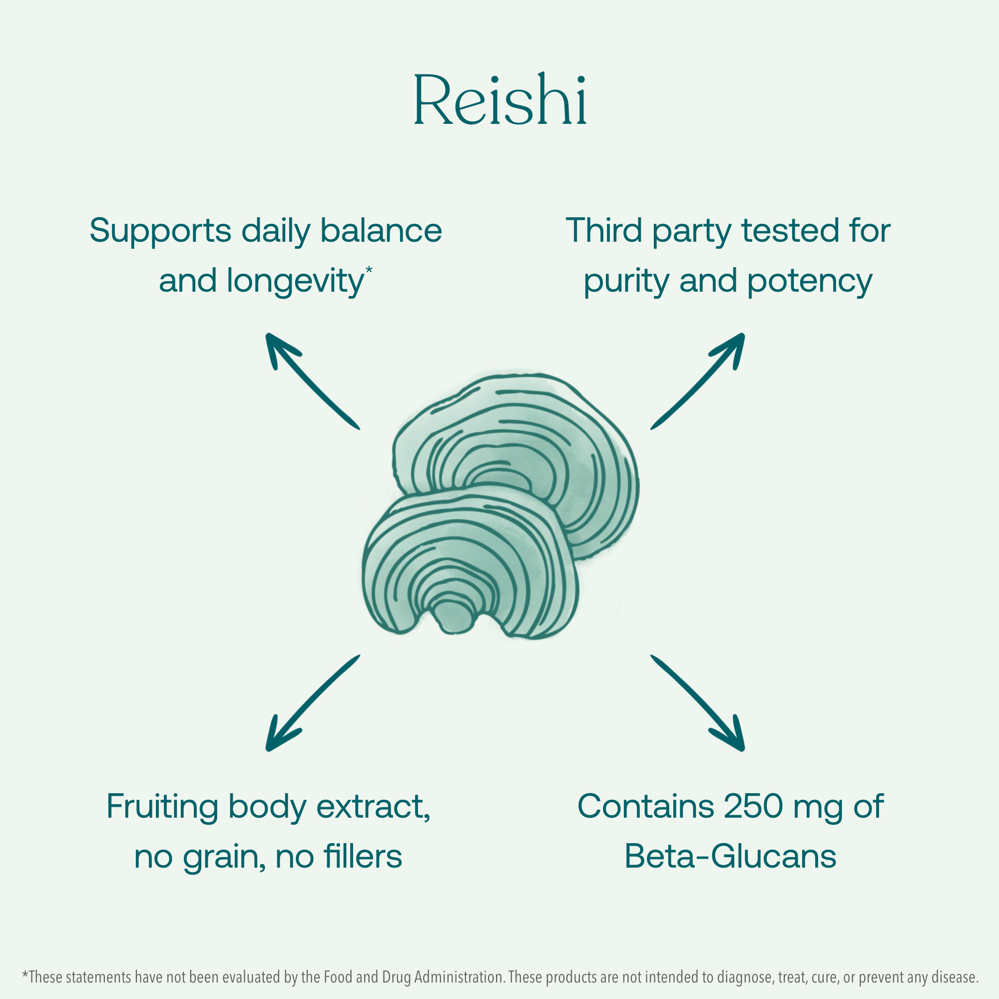 Supports daily balance and longevity*
Third party tested for purity and potency
Fruiting body extract, no grain, no fillers
Contains 250 mg of Beta-Glucans