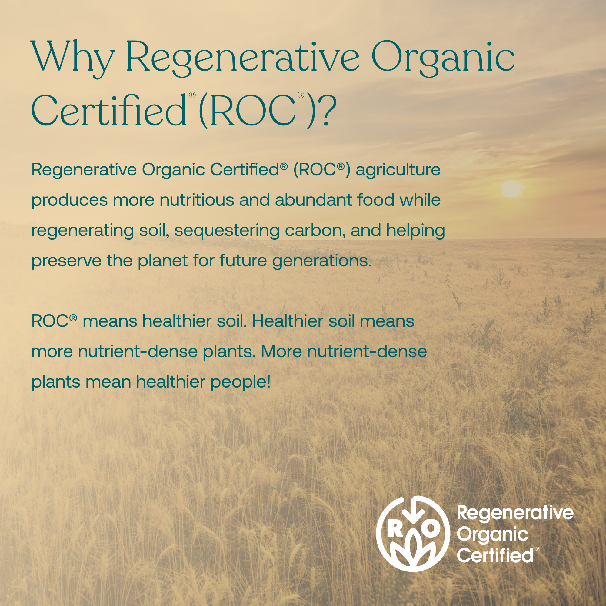 Regenerative Organic Certified (ROC) agriculture produces more nutritious and abundant food while regenerating soil, sequestering carbon, and helping preserve the planet for future generations.
ROC means healthier soil. Healthier soil means more nutrient-dense plants. more nutrient-dense plants mean healthier people!