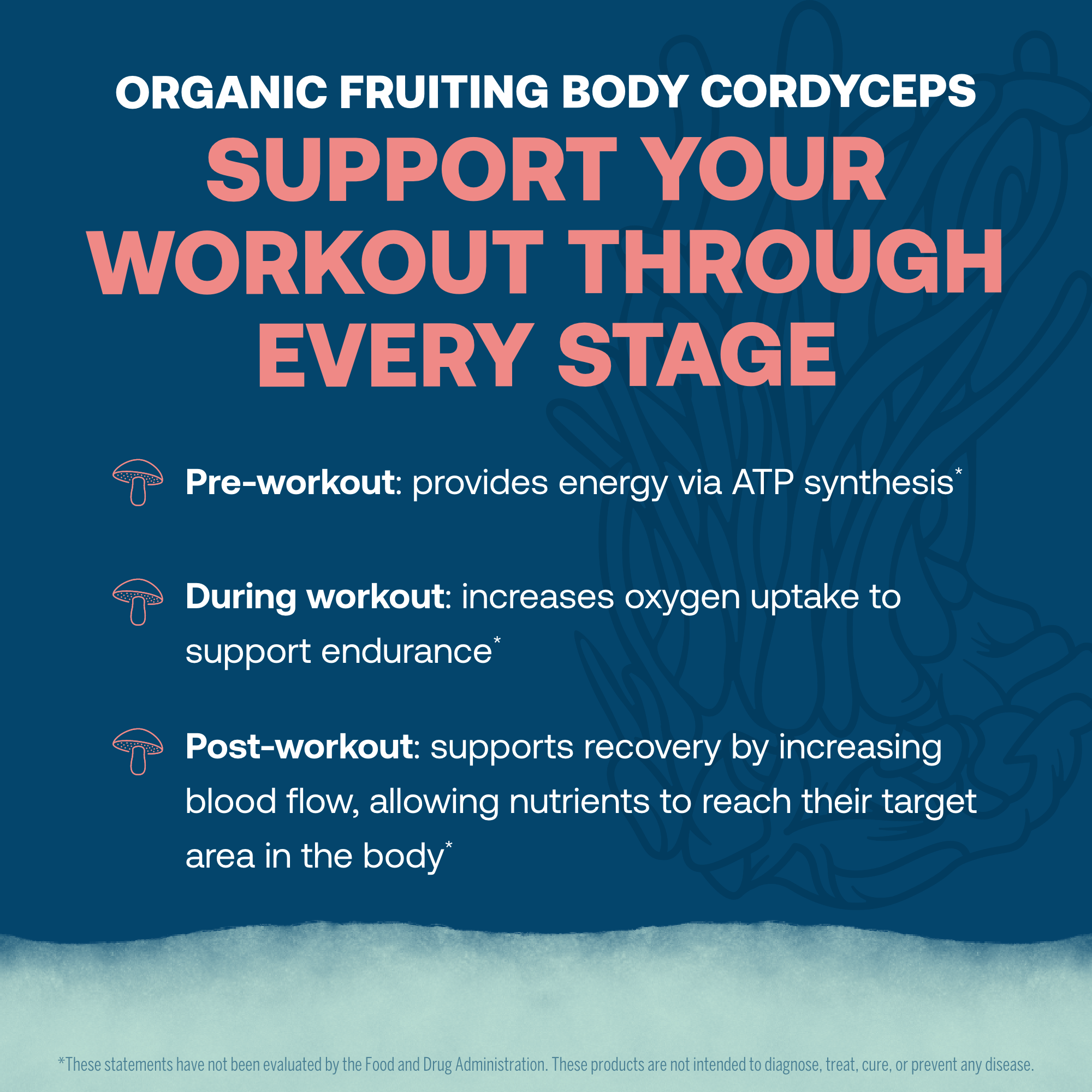 Advertisement for Organic Fruiting Body Cordyceps supporting your workout through every stage from True Grace Electromag electrolyte powder with text on a blue background