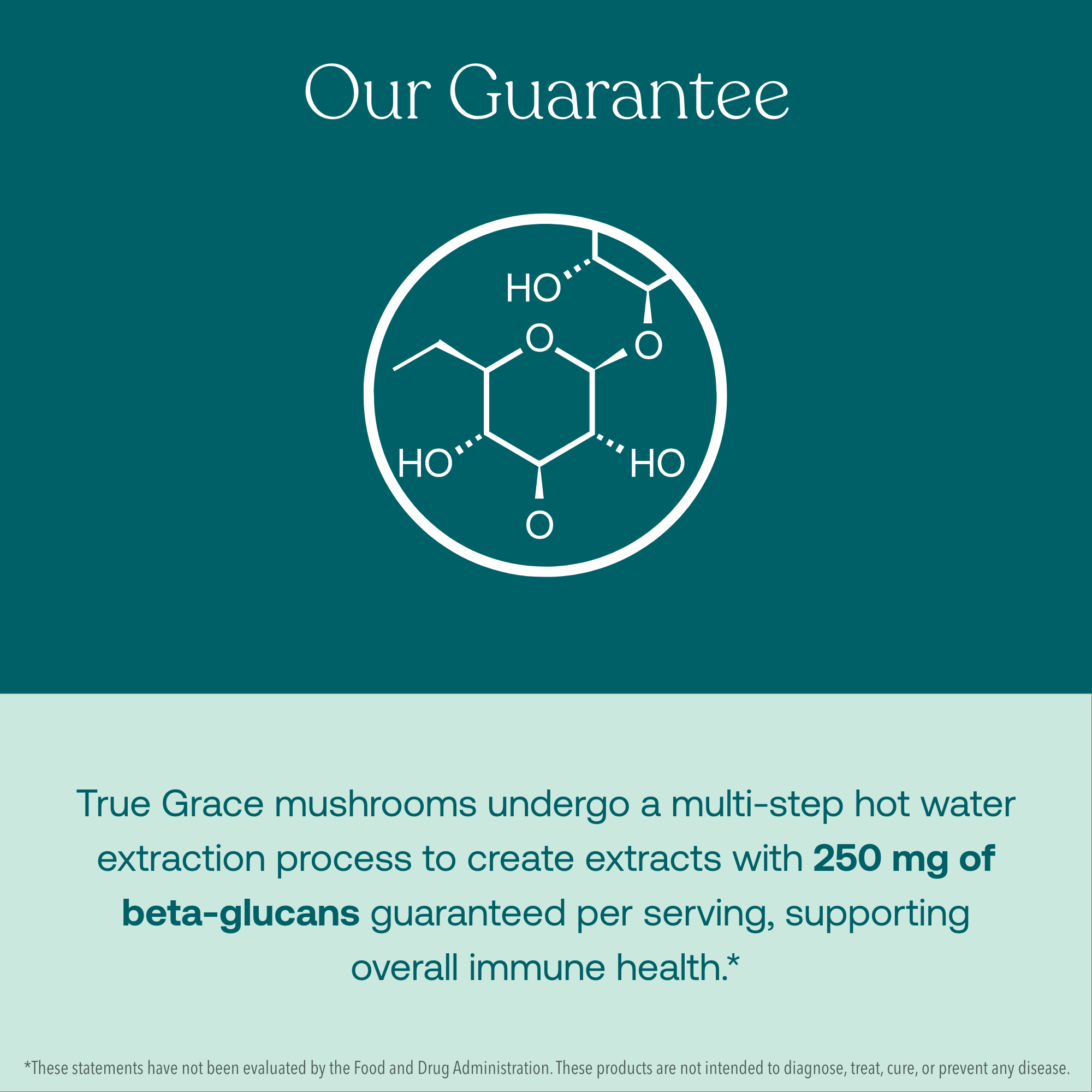 True Grace Myco-Renew mushrooms undergo a multi-step hot water extraction process to create extracts with 250 mg of beta-glucans guaranteed per serving, supporting overall immune health.
