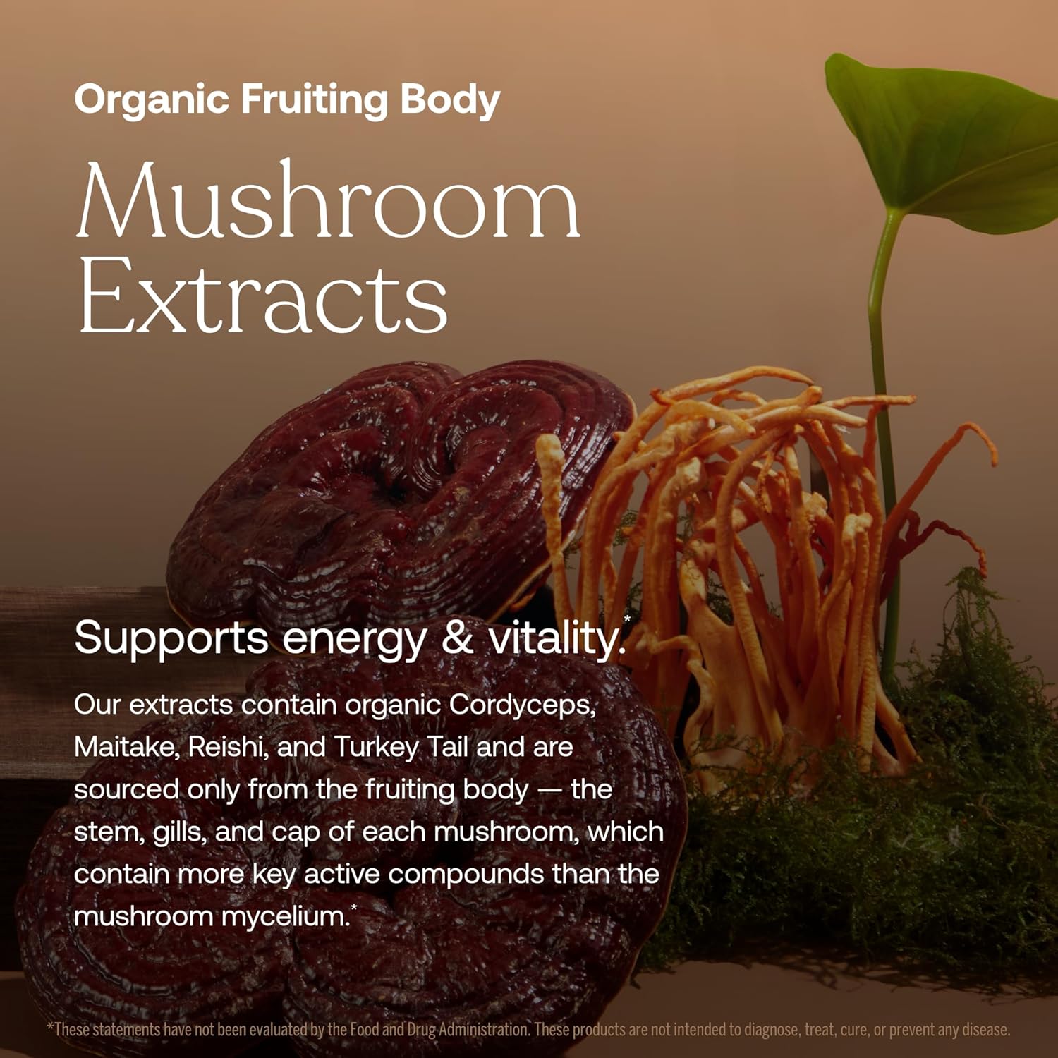 True Grace One Daily Women's Multivitamin ingredient details for Mushroom extracts with text about energy and vitality support on a brown background