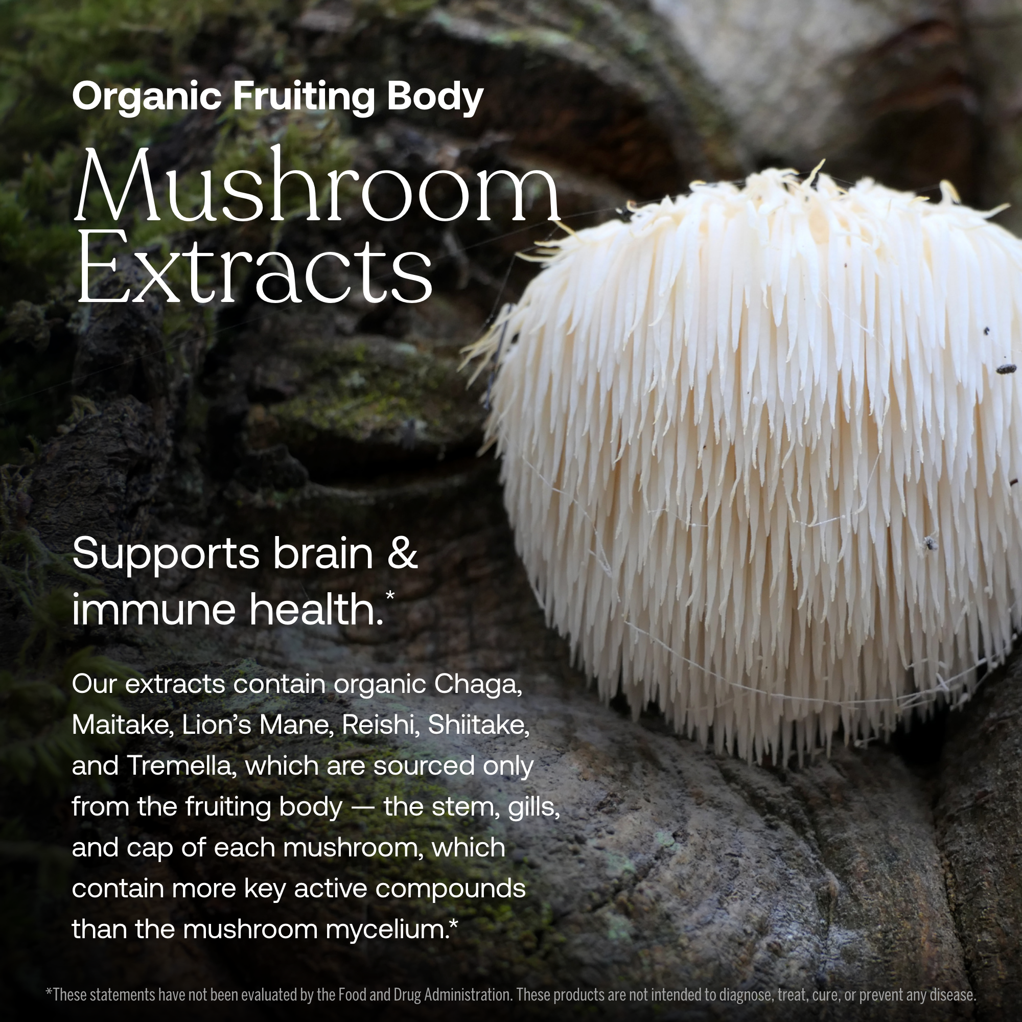 True Grace One Daily Women's 40+ Multivitamin contains organic fruiting body mushroom extract on a rock with text about its benefits and sourcing.