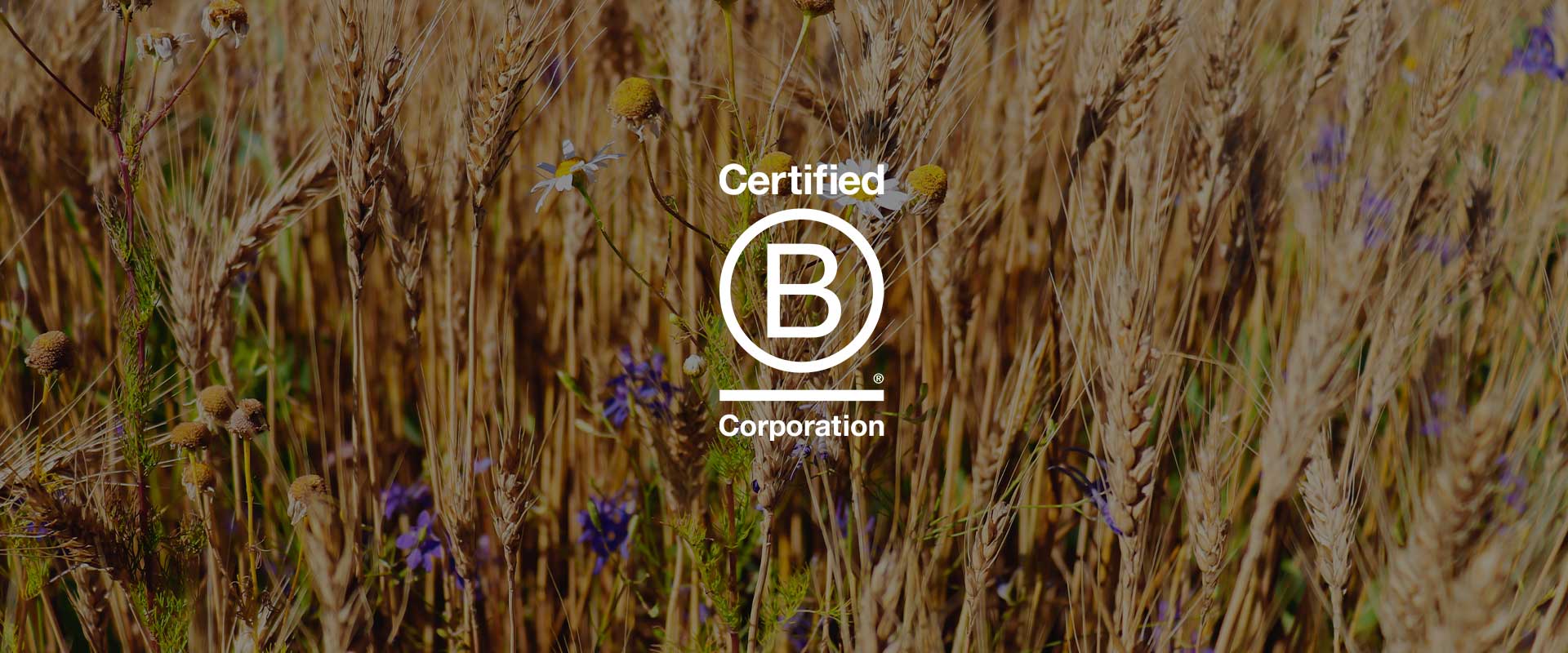 B-Corp Declaration of Interdependence