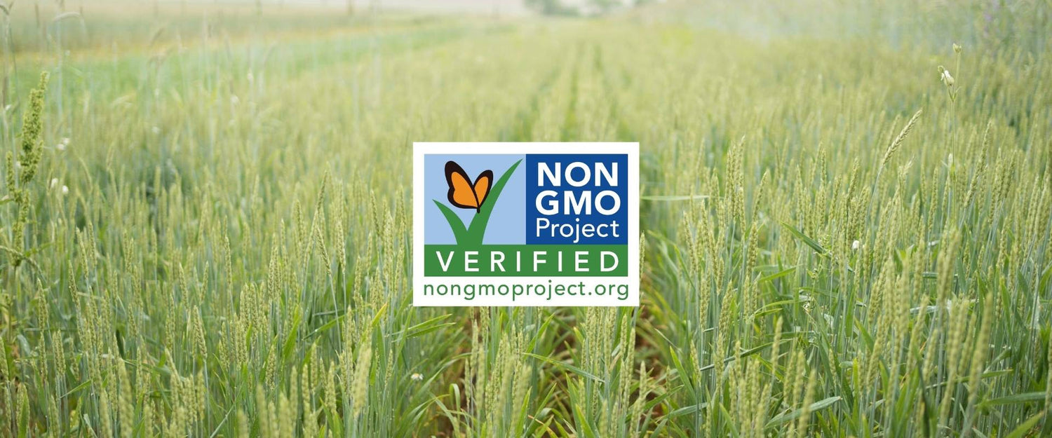 True Grace: A Commitment to Non-GMO Project Verified Products