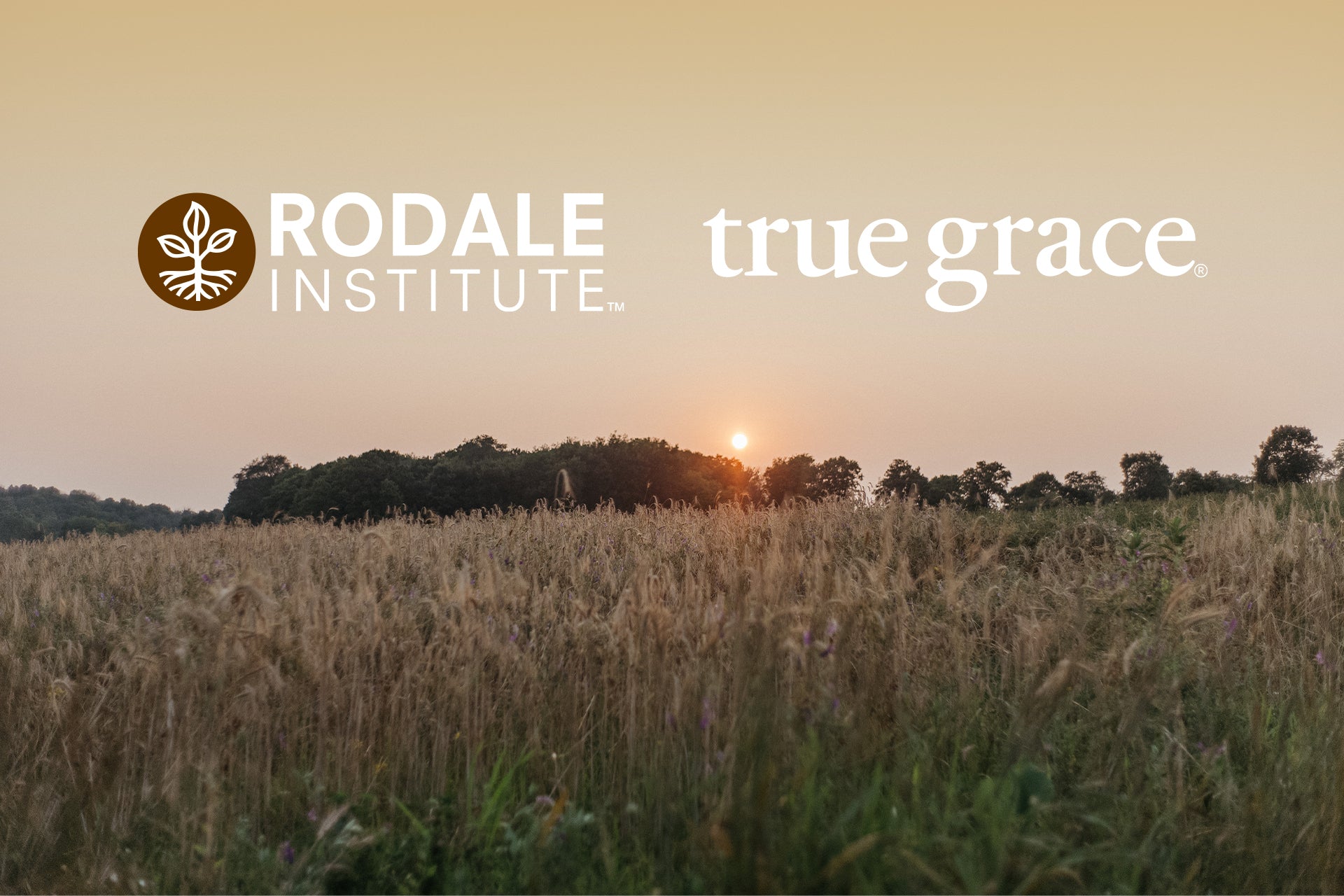 True Grace and Rodale Institute Partner to Advance Research on Regenerative Organic Agriculture