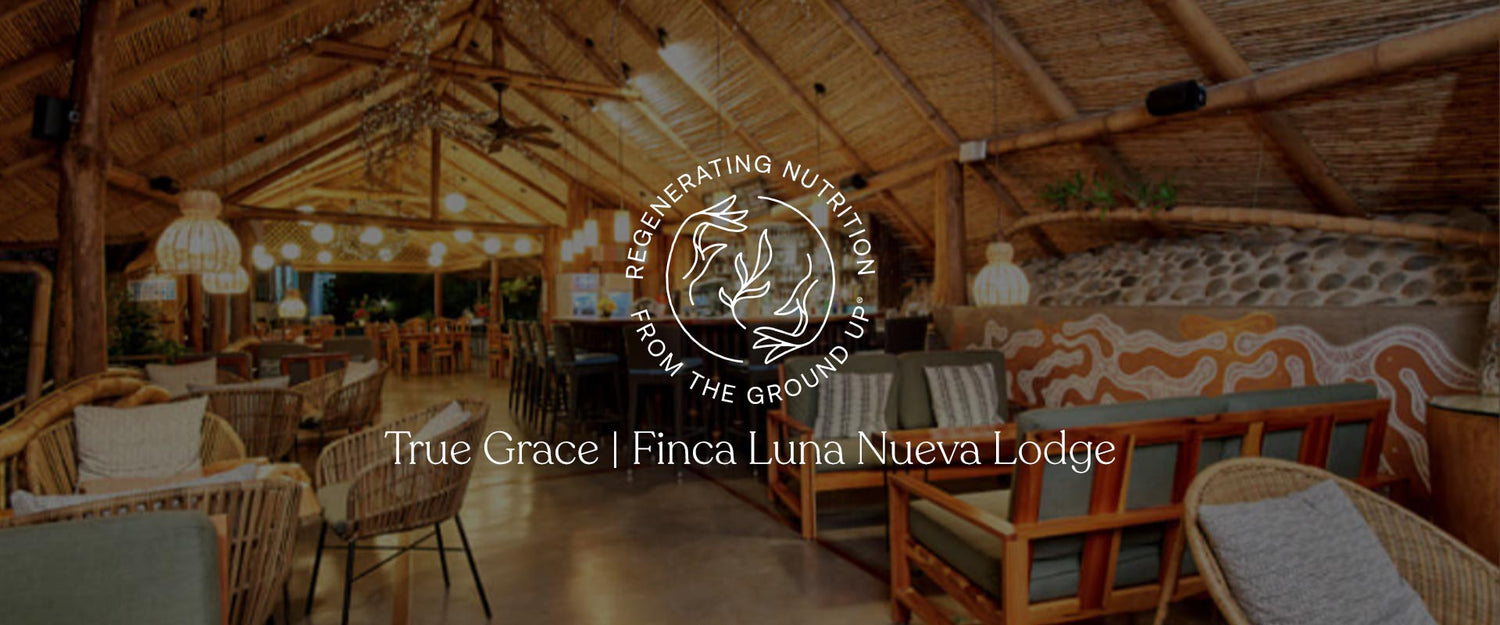 Nourishing the Soul at Finca Luna Nueva Lodge in Costa Rica