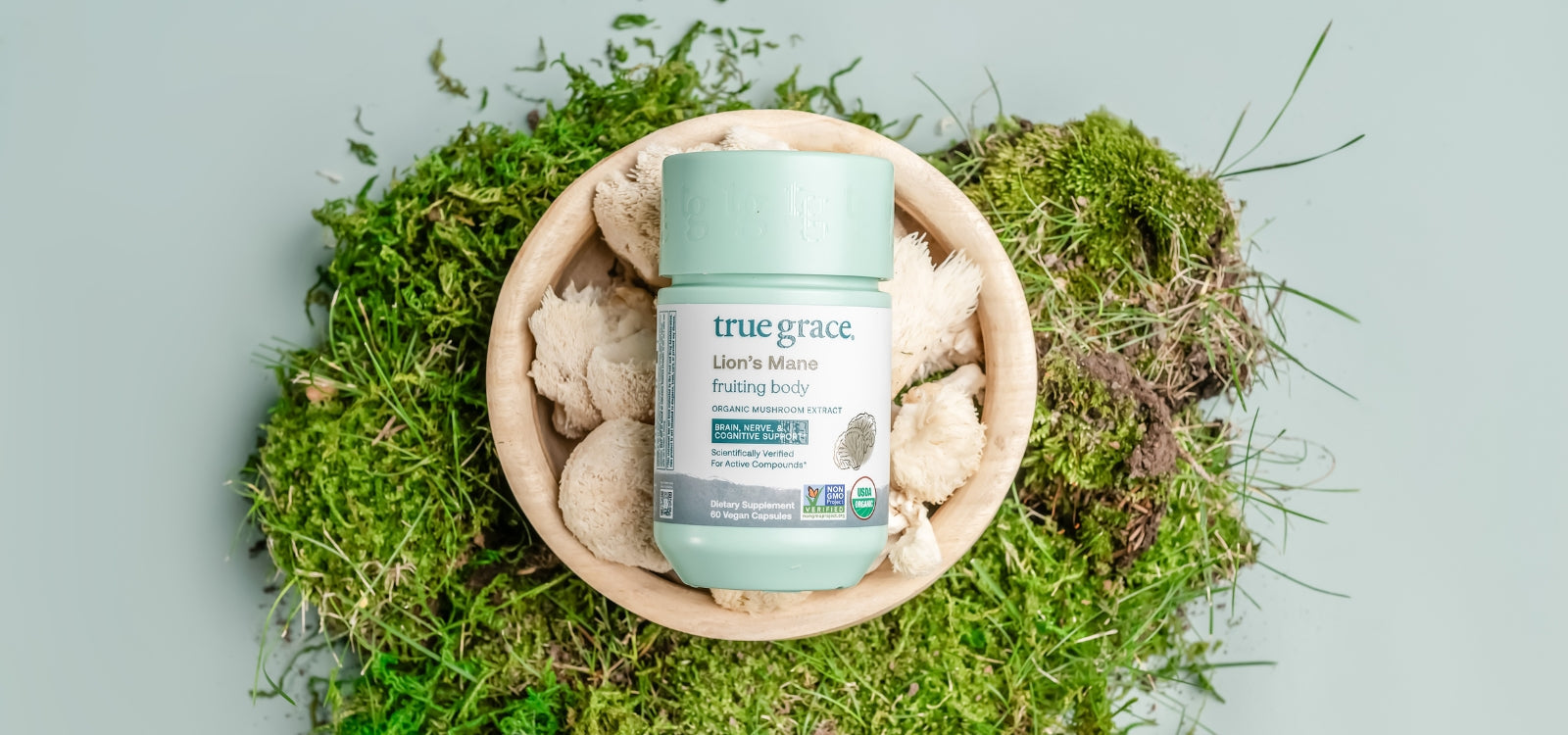 True Grace Lion's Mane in a wooden bowl surrounded by mushrooms and other organic materials