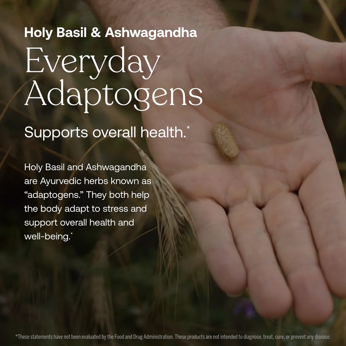 Hand holding an elongated supplement capsule