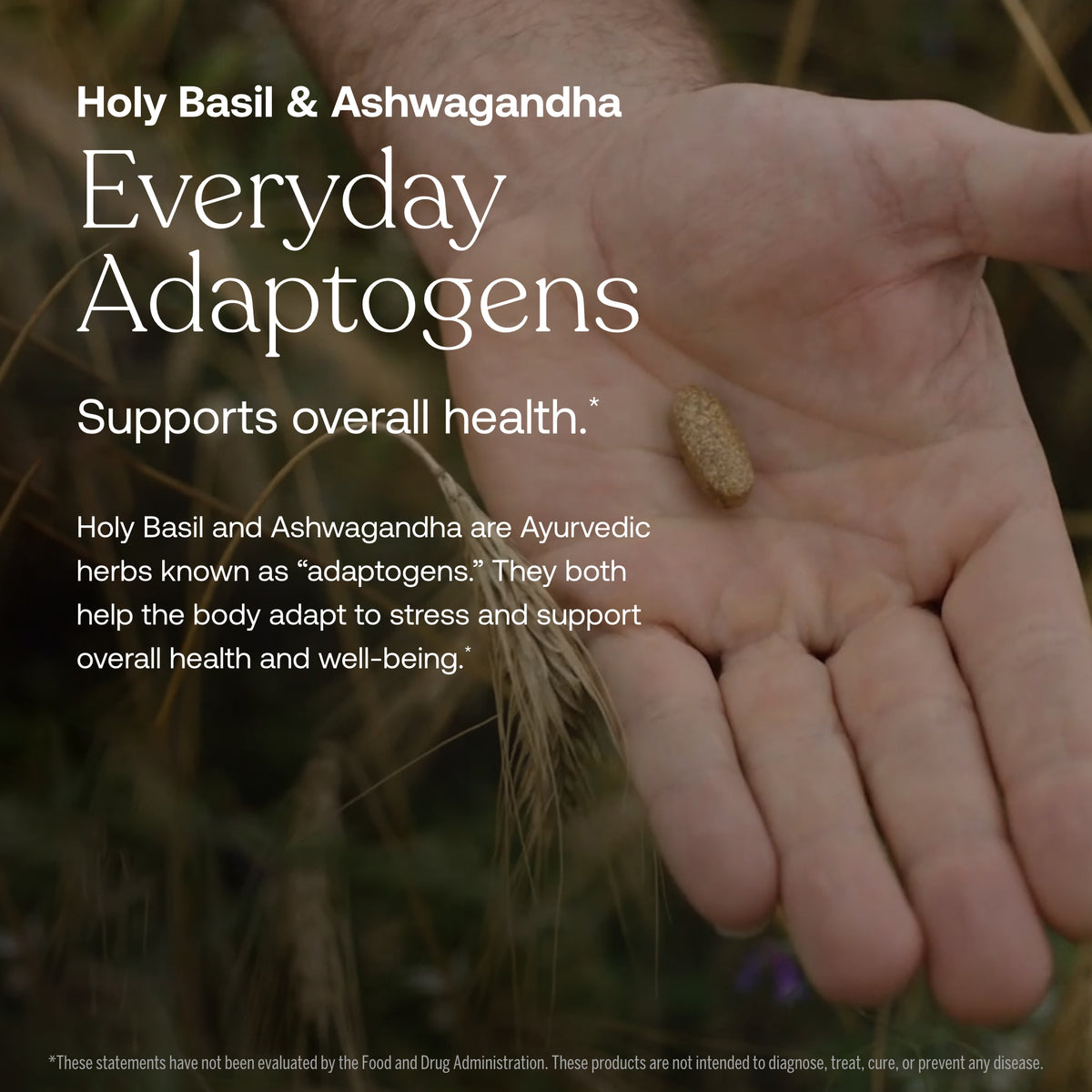 Person’s open palm with adaptogen wellness supplement promotional text