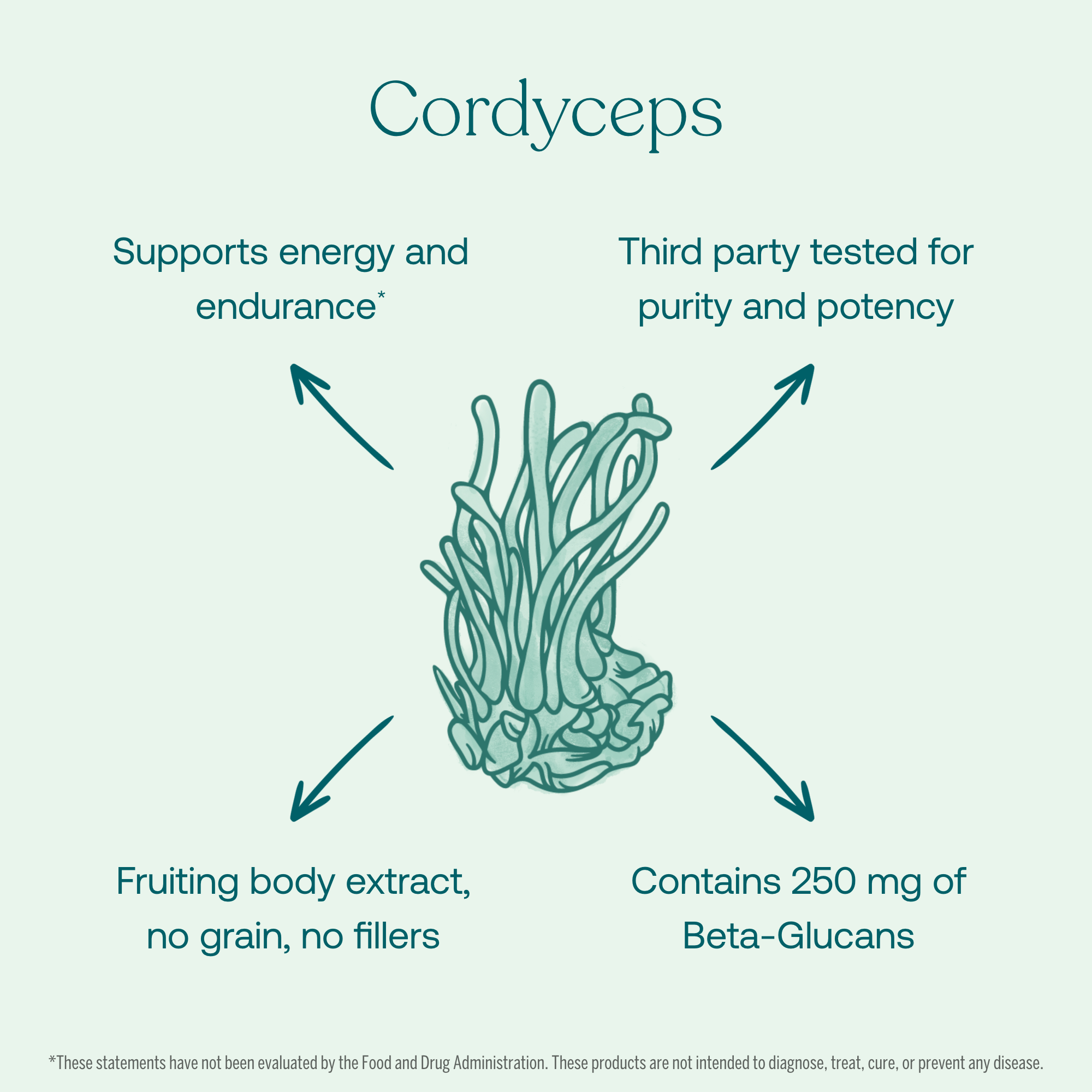 Supports energy and endurance
Third party tested for purity and potency
Fruiting body extract, no grain, no fillers
Contains 250 mg of Beta-Glucans