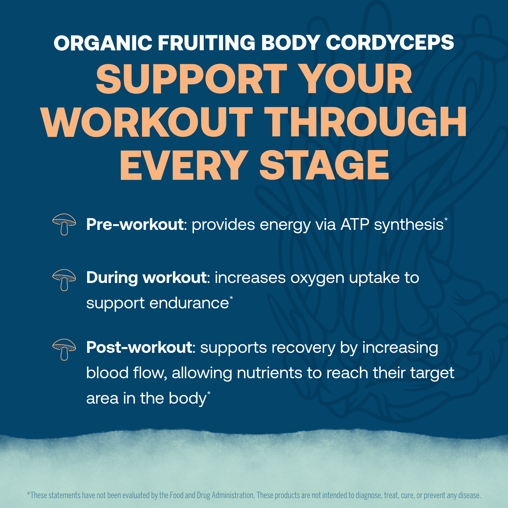 Organic Fruiting Body Cordyceps
Support Your Workout Through Every Stage
- Pre-workout: provides energy via ATP synthesis*
- During workout: increases oxygen uptake to support endurance*
- Post-workout: supports recovery by increasing blood flow, allowing nutrients to reach their target area in the body*