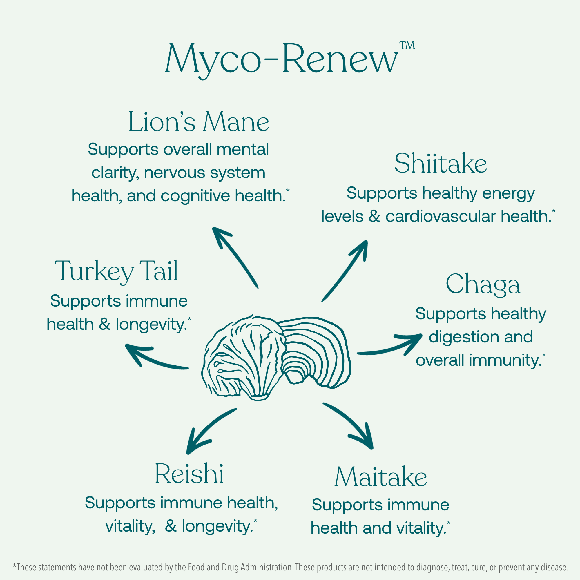 Reishi supports immune health, daily balance, and longevity*
Lion’s Mane supports brain, nerve, and cognitive health.*
Turkey Tail supports immune health and longevity.*
Chaga supports healthy digestion and overall immunity.*
Maitake supports immune health and vitality.*
Shiitake supports healthy energy levels and cardiovascular health.*