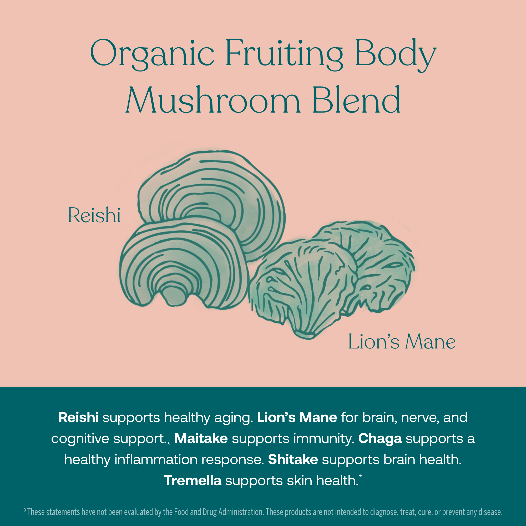 Reishi supports healthy aging. Lion's Mane for brain, nerve, and cognitive support. Maitake supports a healthy inflammation response. Shiitake supports brain health. Tremella supports skin health.*