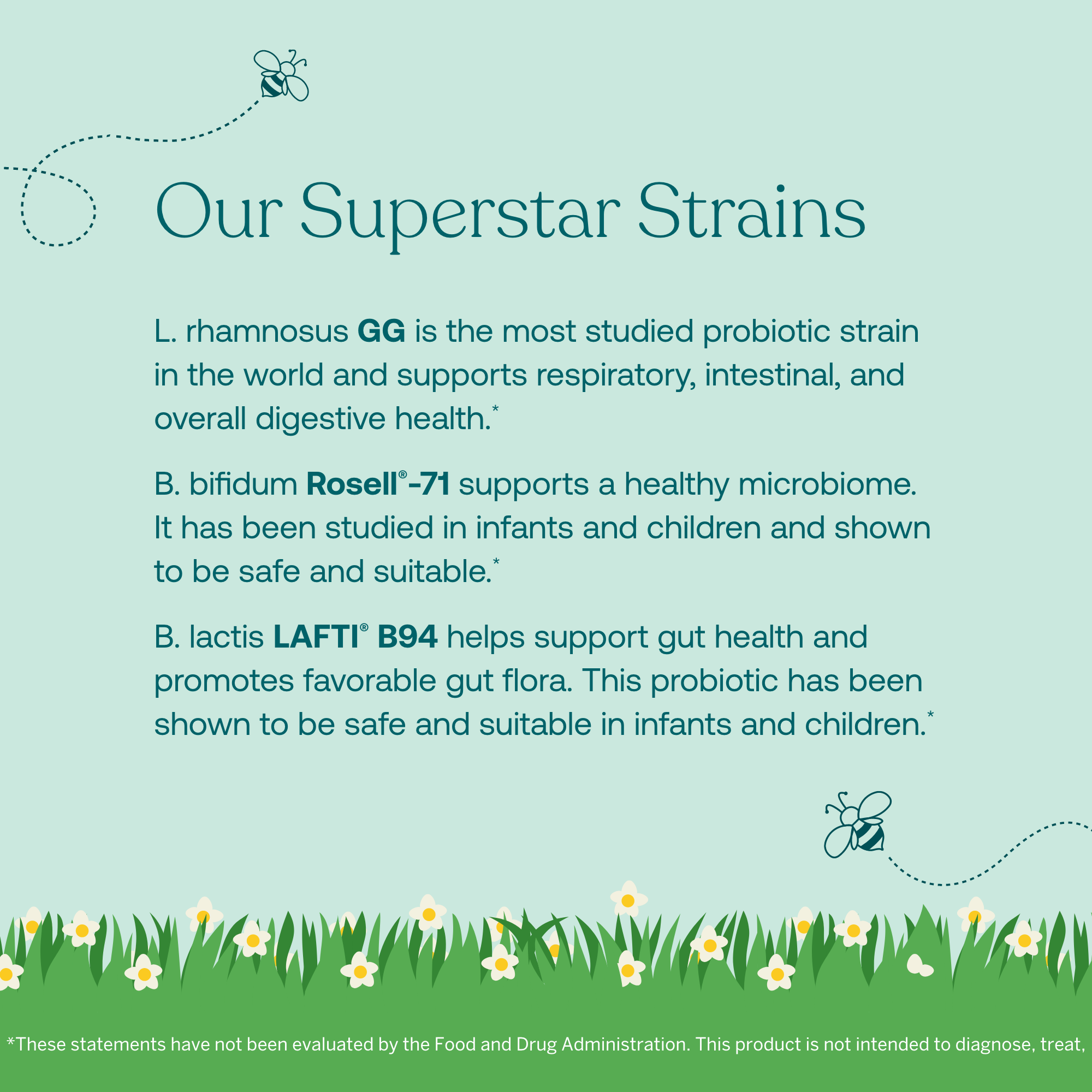 - L. rhamnosus GG: is the most studied probiotic strain in the world and supports respiratory, intestinal, and overall digestive health.*
- B. bifidum Rosell®-71: supports a healthy microbiome. It has been studied in infants and children and shown to be safe and suitable.*
- B. lactis LAFTI® B94: helps support gut health and promotes favorable gut flora. This probiotic has been shown to be safe and suitable in infants and children.*