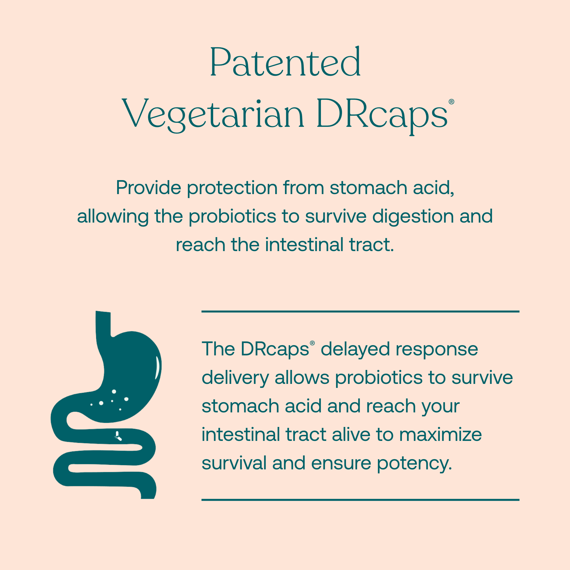 Provide protection from stomach acid, allowing the probiotics to survive digestion and reach the intestinal tract. 

The DRcaps delayed response delivery allows probiotics to survive stomach acid and reach your intestinal tract alive to maximize survival and ensure potency. 