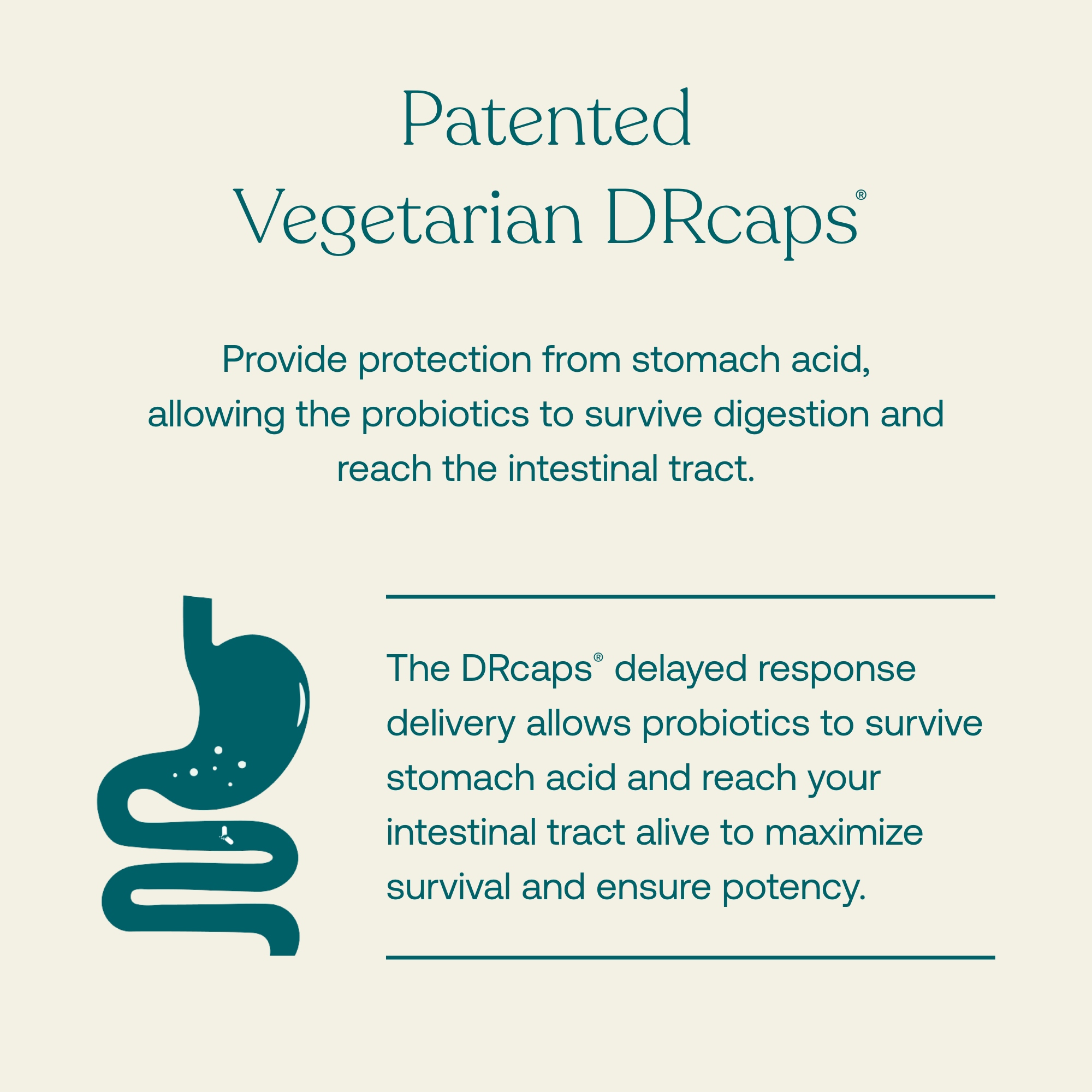 Provide protection from stomach acid, allowing the probiotics to survive digestion and reach the intestinal tract. 

The DRcaps delayed response delivery allows probiotics to survive stomach acid and reach your intestinal tract alive to maximize survival and ensure potency.