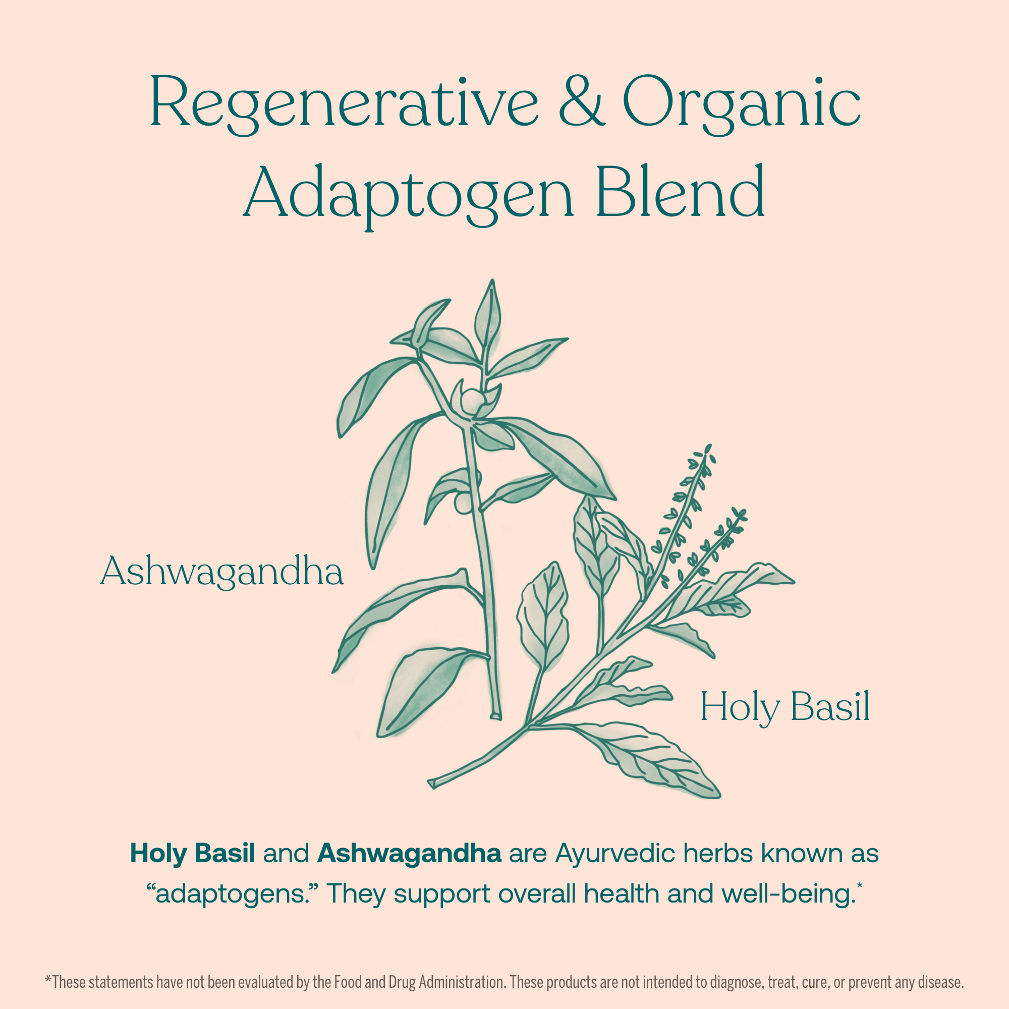 Holy Basil and Ashwagandha are Ayurvedic herbs known as "adaptogens." They support overall health and well-being.*