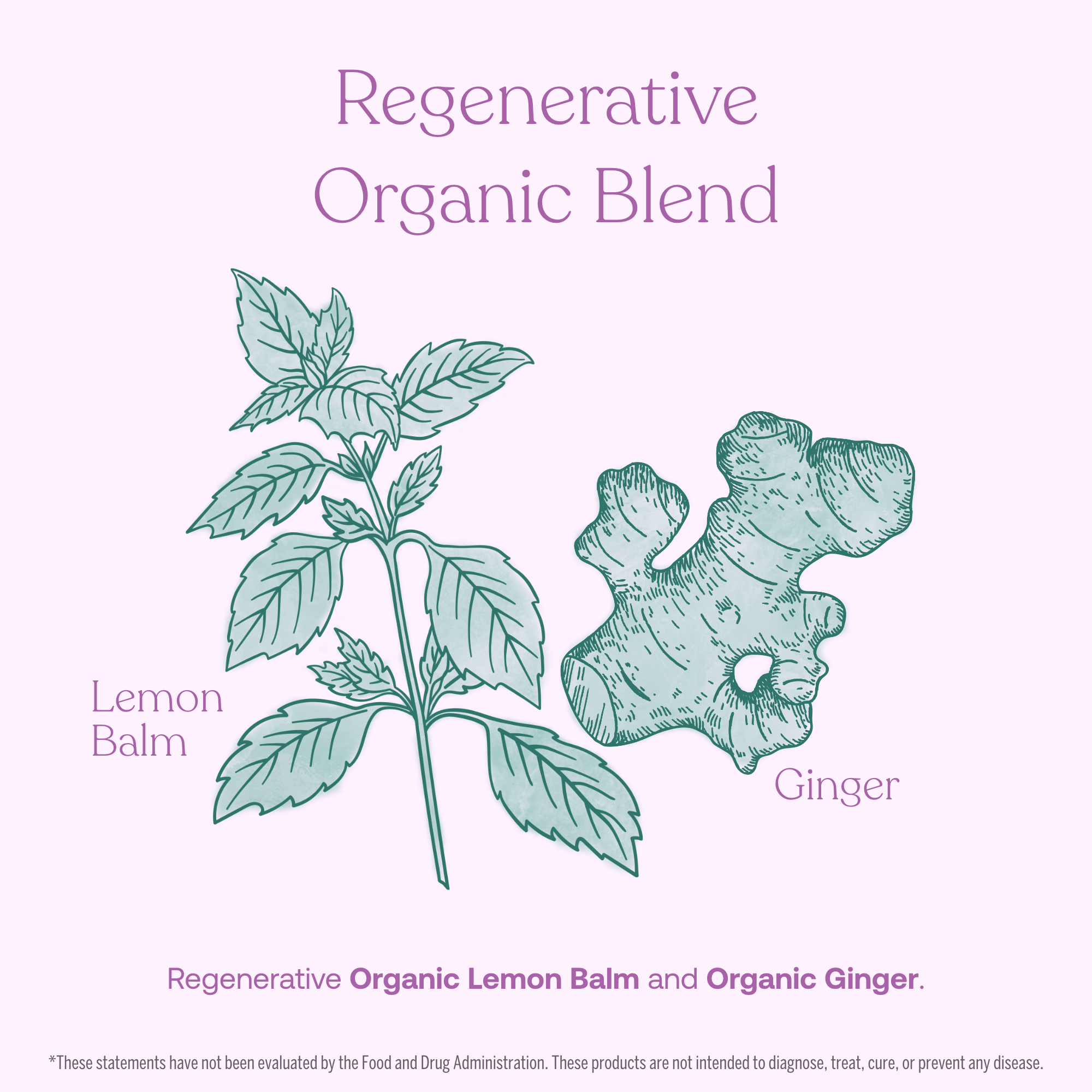 Lemon Balm
Ginger
Regenerative Organic Lemon Balm and Organic Ginger.