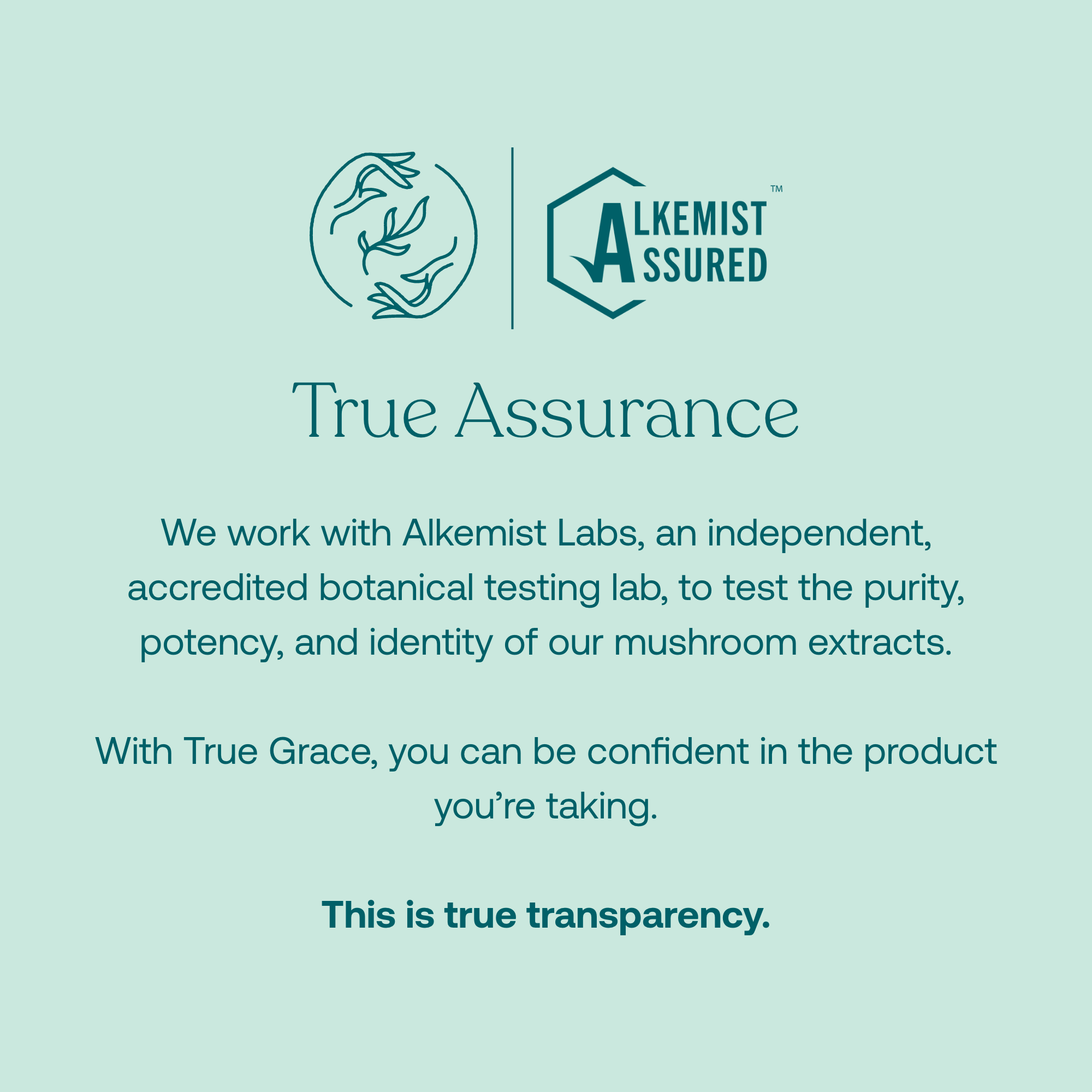 We work with Alkemist Labs, an independent, accredited botanical testing lab, to test the purity, potency, and identity of our mushroom extracts.

With True Grace, you can be confident in the product you're taking.