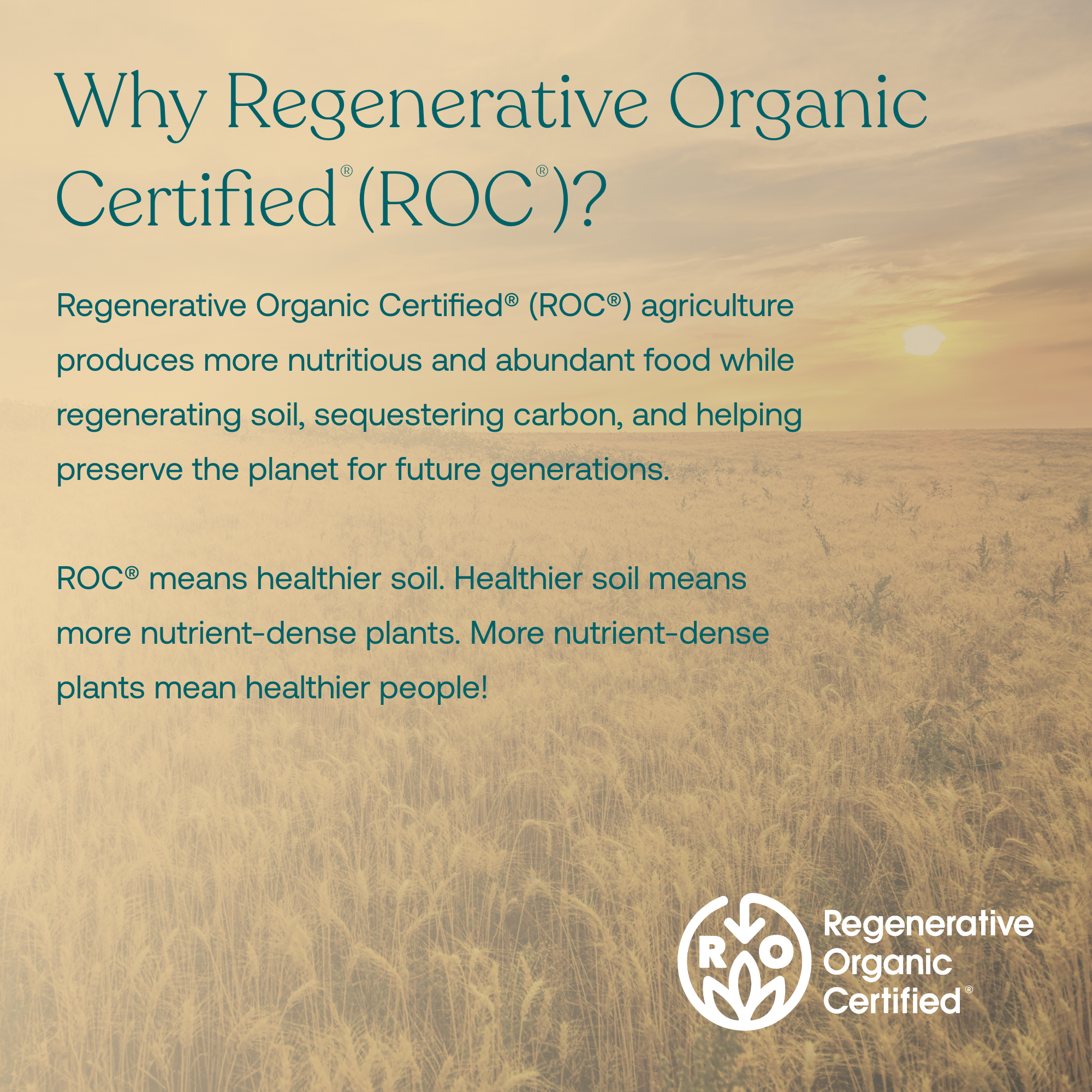 Regenerative Organic Certified (ROC) agriculture produces more nutritious and abundant food while regenerating soil, sequestering carbon, and helping preserve the planet for future generations.

ROC means healthier soil. Healthier soil means more nutrient-dense plants. more nutrient-dense plants mean healthier people!