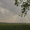 Healthy_soil_video_true_grace