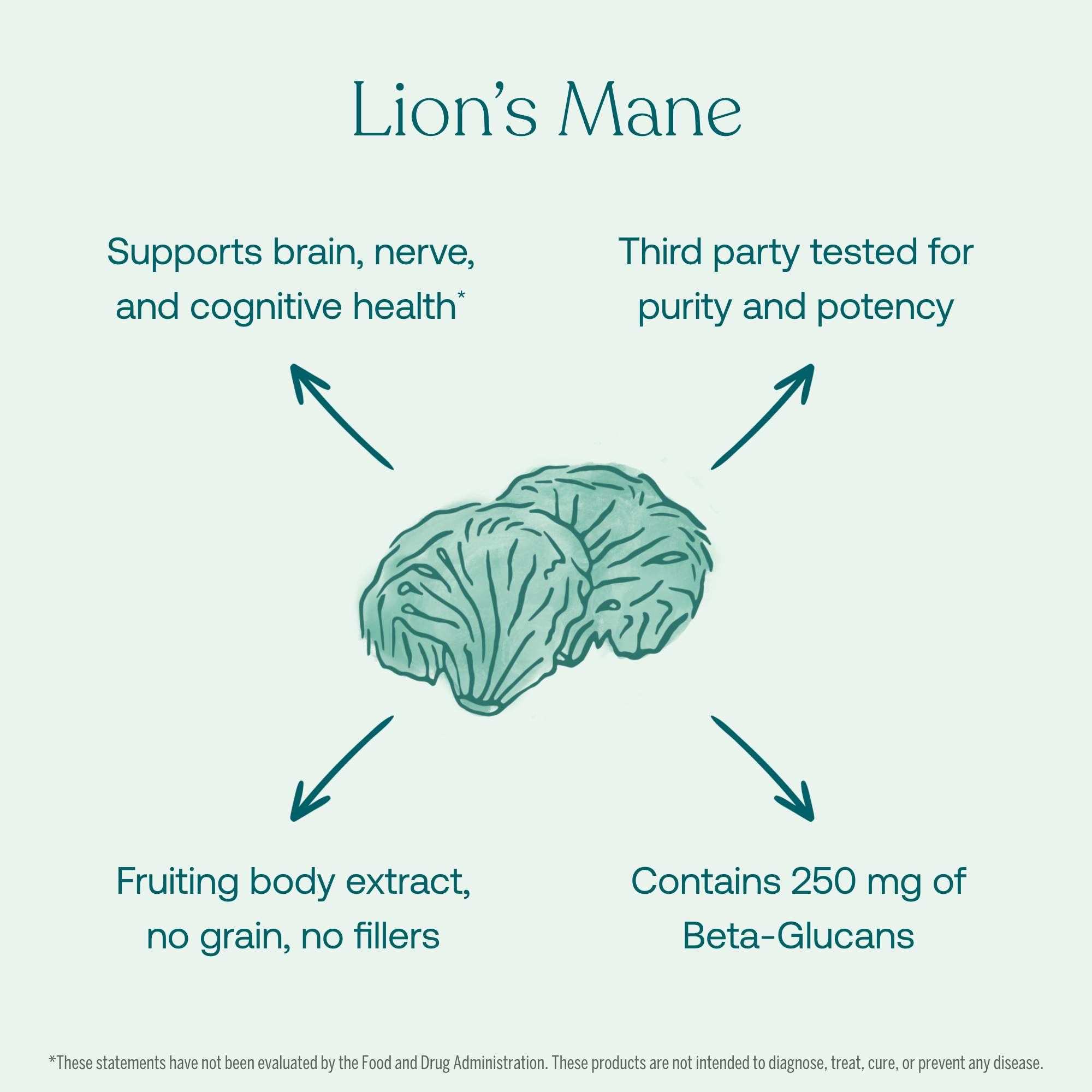 True Grace Lion's Mane product ingredients and benefits on light blue background. Lion's Mane supports brain, nerve, and cognitive health. Third part tested for purity and potency. Fruiting body extract, no grain, no fillers. Contains 250 mg of Beta-Glucans.