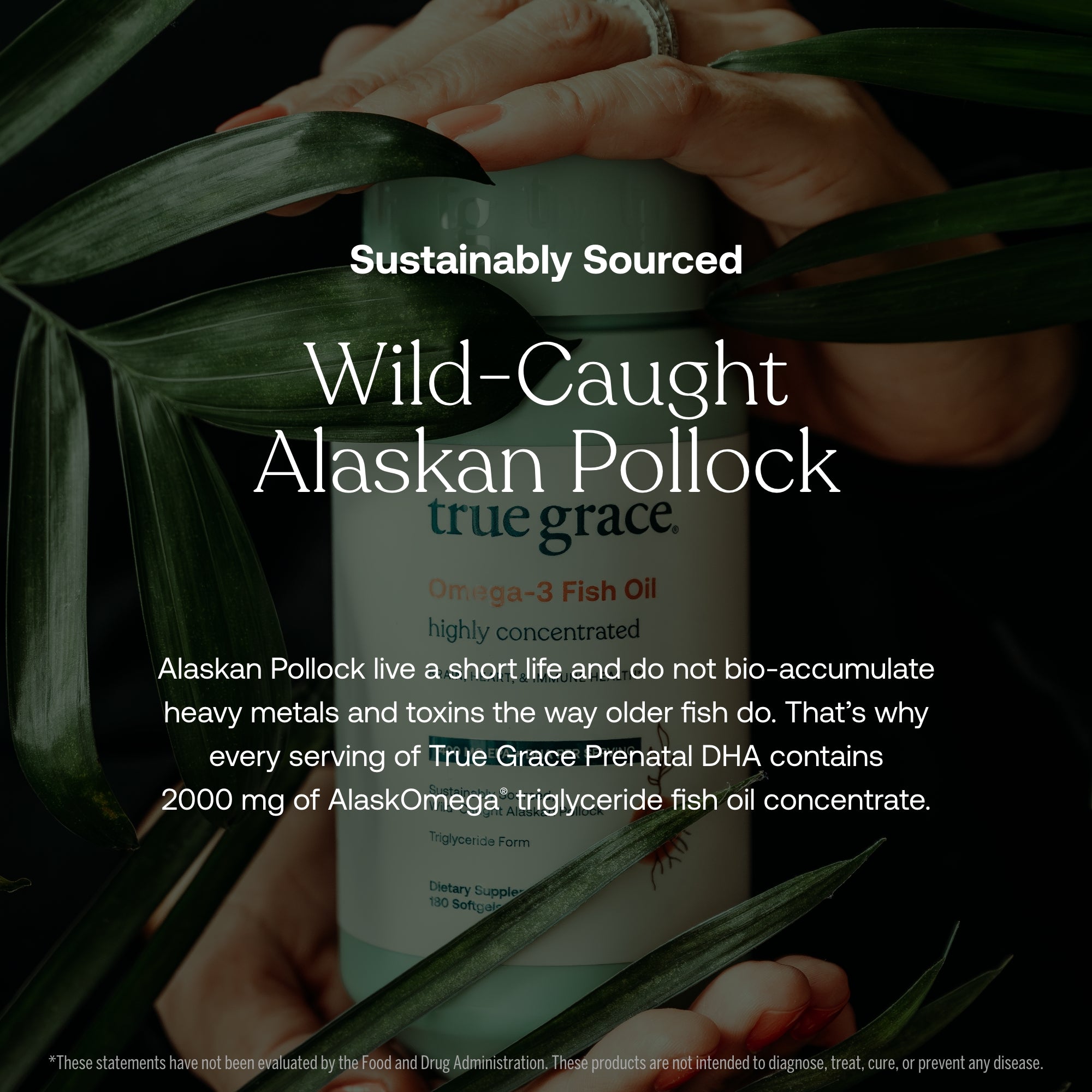 True Grace Omega-3 Fish Oil bottle with text about sustainably sourced Alaskan Pollock and product details. Contained in True Grace Prenatal DHA.